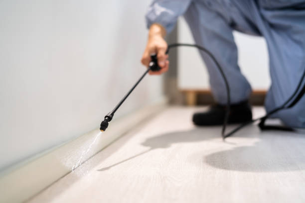 Licensed Termite Control service in Oskaloosa, IA - Nex Pest Control