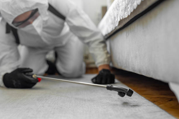 Professional Termite Control technician working in Oskaloosa, IA