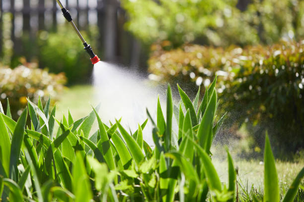 24/7 Emergency Termite Control experts in Oskaloosa, IA