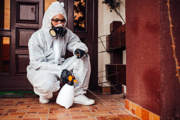 Reliable Termite Control contractor in Oskaloosa, IA by Nex Pest Control