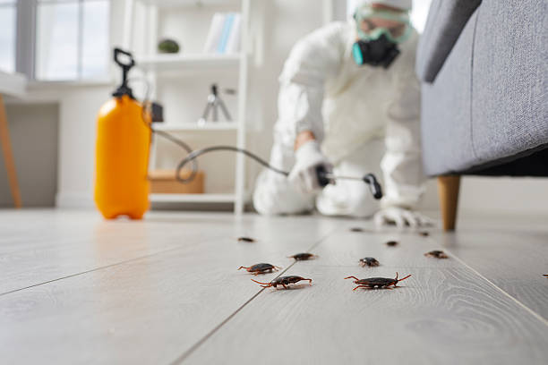 Trusted Termite Control service in Oskaloosa, IA - Nex Pest Control
