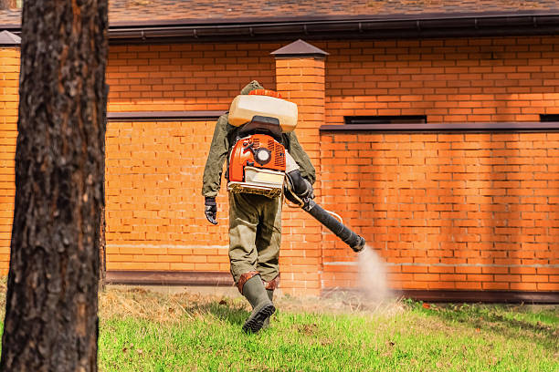 Trusted Bed Bug Control service in Oskaloosa, IA - Nex Pest Control